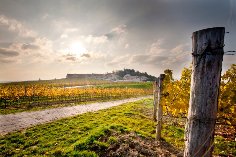 Vinařství U Kapličky - penzion