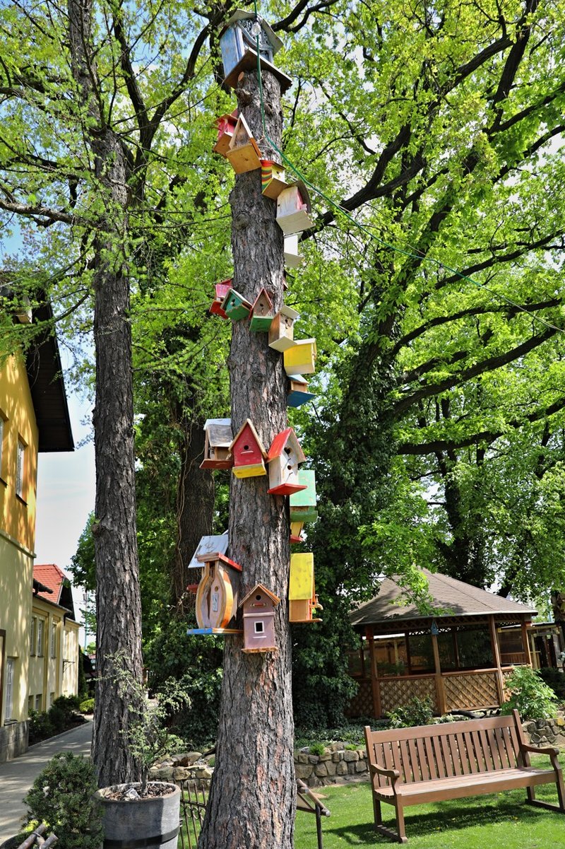 Kovozoo Staré Město