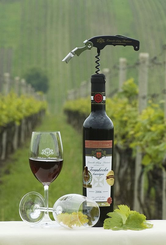 Zámecké sklepy Strážnice