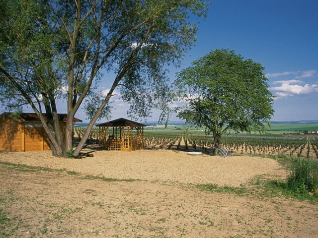 ZNOVÍN ZNOJMO, a. s. - ochutnávkový stánek Staré vinice, Havraníky