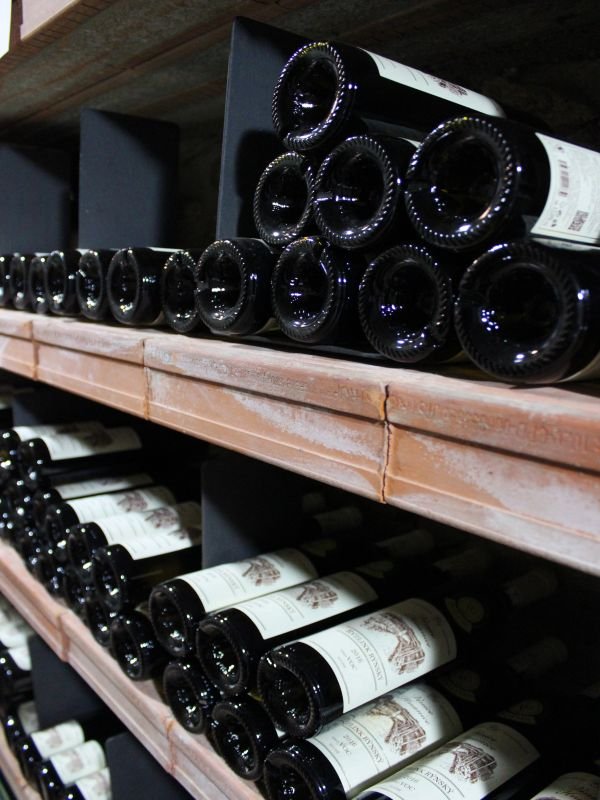 Penzion U Tří jasanů