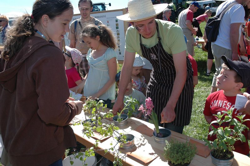 Levandulové údolí