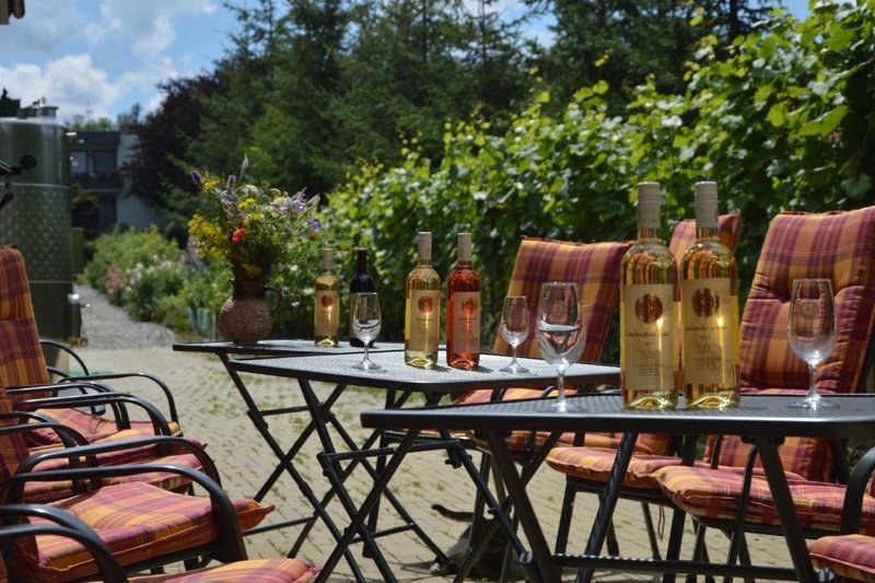 Penzion v rodinném vinařství Kadubcovi