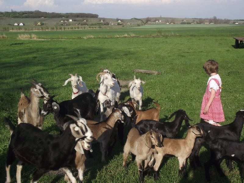 Jáňův dvůr - kemp