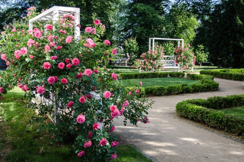 Regionální informační centrum Šluknov