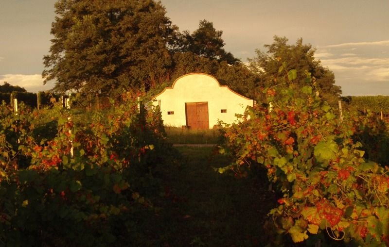 Jáňův dvůr - penzion